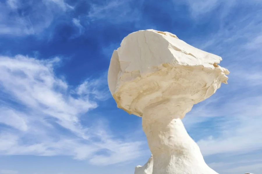 White Desert Experience