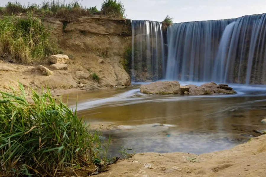 Fayoum Desert One-Day Adventure