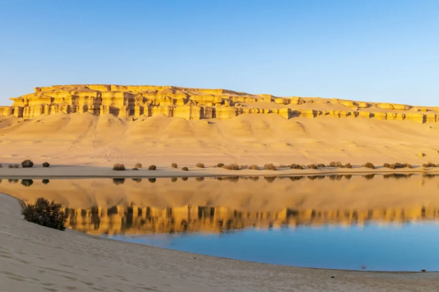 White Desert, Bahariya, Wadi El-Hitan & Fayoum Adventure